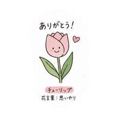 masa_@_20260504232820