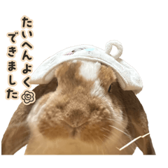 osiri ga ebifurai mitai