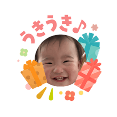 netlow_20260505091407