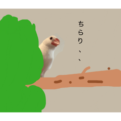 maro_20260505101541