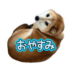 minagon_20260505102340