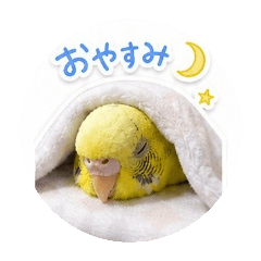 motchi_20260505091108