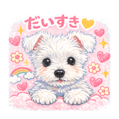 masakazu_20260505102027