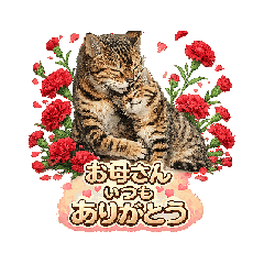 fujiyan8_20260506153129