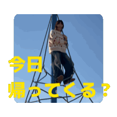 Kocyamaru-DX_20260506153614
