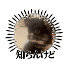 ポテマル