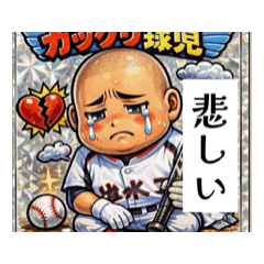 Seita1224_20260506165736