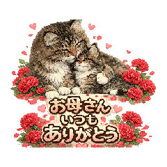 fujiyan8_20260506163814