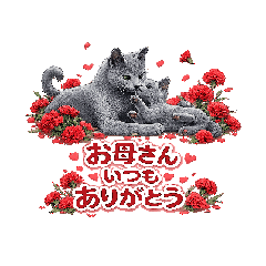 fujiyan8_20260506174424