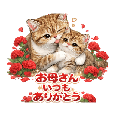 fujiyan8_20260506191000