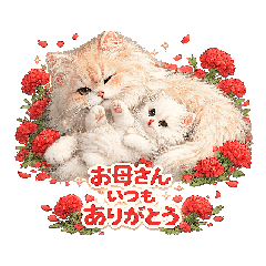 fujiyan8_20260506202848
