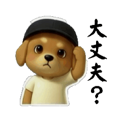 わんこ兄ちゃん