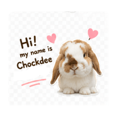 Chockdee hellos world