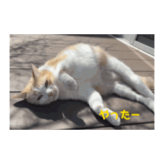 MU_20260507005138