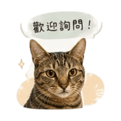 妹妹-客服批發客用語