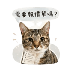 帝帝-客服批發客用語