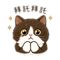 章魚燒日常話