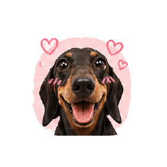 LinHappyLin