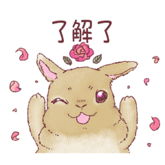兔子POM和MOCO 6