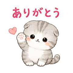aya_20260505003059