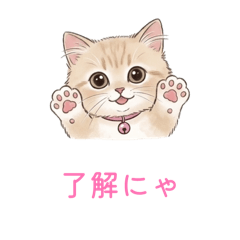 momo_20260505105312
