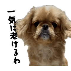 Pee_20260505002752
