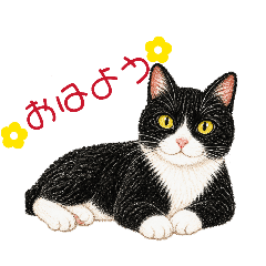 sasukever.2