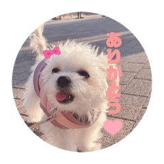 RINA_20260505111009