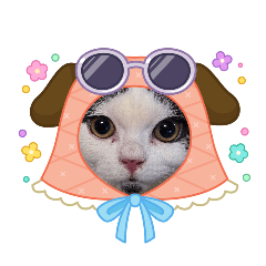 Kawaii Rai