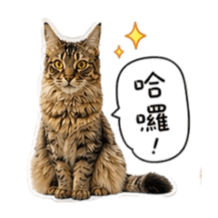 四寶日常篇