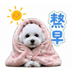 小可愛Apple