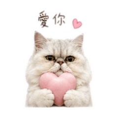 Q系列