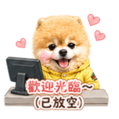 澎澎：打工仔