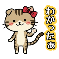 nmnm7_20260505010553