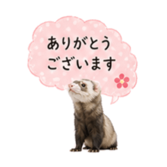 mtzmeeee!_20260505010851