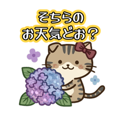 nmnm7_20260505011046