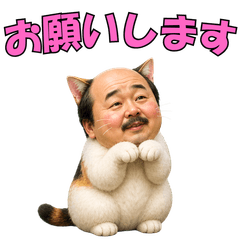 Everyday Conversations of the Cat Uncle