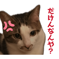 FUKUKenji_20260505013900