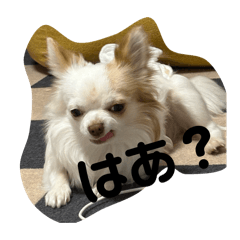 sayaka_20260505014802