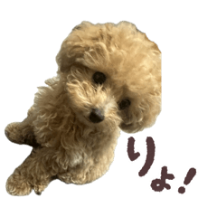 ulu_20260505115523