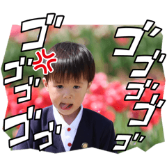 Hamu_20260505015531