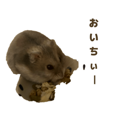 koseidon_20260505120657