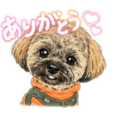 YUKA_20260505120704