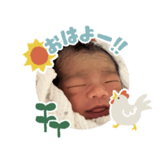 monapo_20260505120936