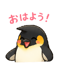 yumi_20260505120731