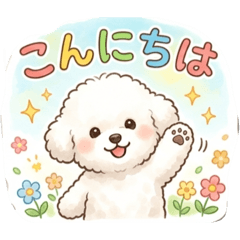 mimi_20260505121145