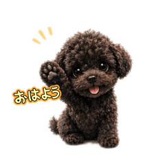 PET SEEYOUAGAIN_20260507104634