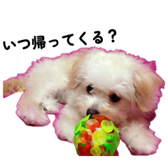 mana_20260505013207