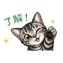 makoto.tabby_20260504180126