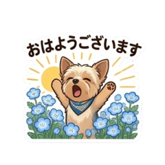 Yoki and Nemophila (polite language)